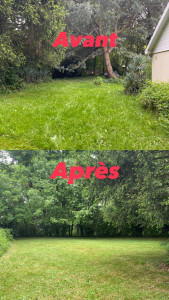 Photo de galerie - Tonte d’une pelouse 1000 m2