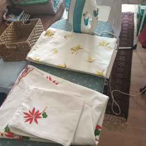 Photo de galerie - Lingerie - Repassage