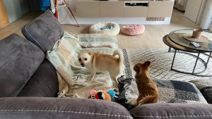 Photo de galerie - Neige 1 aivi