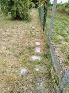 Photo de galerie - Paysagiste - Aménagement du jardin