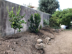 Photo de galerie - Paysagiste - Aménagement du jardin