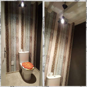 Photo de galerie - Rénovation complète de wc 