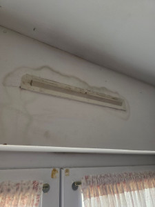 Photo de galerie - Peinture - Tapisserie