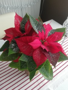 Photo de galerie - Cadeau, shopping 