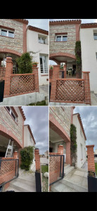 Photo de galerie - Prolongement d’un Jasmin sur le mur