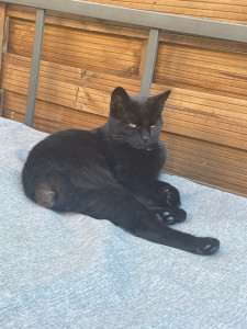 Photo de galerie - Elsa en famille d’accueil 