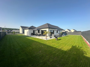 Photo de galerie - Pelouse + aménagement jardin plantation palmier 