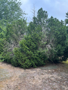 Photo de galerie - Avent