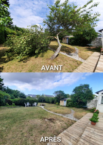 Photo de galerie - Elagage et coupe d'arbres