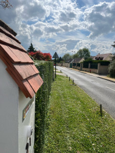 Photo de galerie - Taille de haie