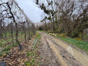 Photo de galerie - à la fin du chantier voie dégage 