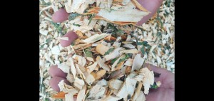 Photo de galerie - Voici une photo de réalisation proposée pour un Voisin