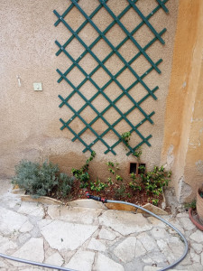 Photo de galerie - Création de jardin 