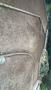 Photo de galerie - Paysagiste - Aménagement du jardin