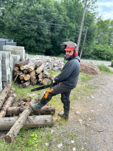 Photo de galerie - élagage 