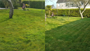 Photo de galerie - Tonte de pelouse
