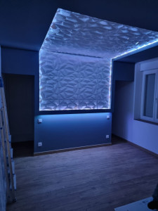 Photo de galerie - Pose de BA13 
peinture 
parquet 