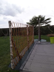 Photo de galerie - Paysagiste - Aménagement du jardin