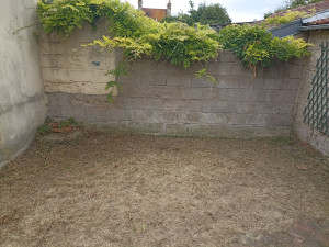 Photo de galerie - Tonte 
