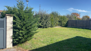 Photo de galerie - Taille de haies et d'arbustes