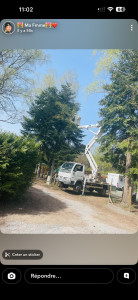 Photo de galerie - Elagage et coupe d'arbres