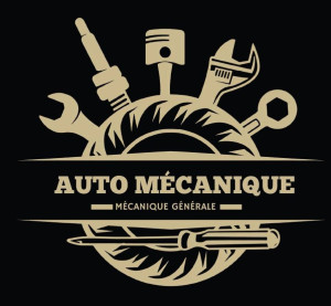 Photo de galerie - Mécanique toute marque service rapide 
solution ADBLEU 
solution FAP 
solution EGR 
recherche de panne 
