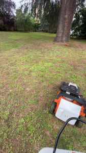 Photo de galerie - Tonte 