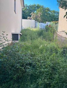 Photo de galerie - Tonte de pelouse - Débroussaillage