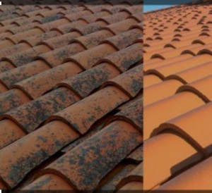 Photo de galerie - Avant et après nettoyage .