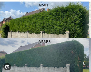 Photo de galerie - Taille de  haie client satisfait 