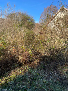 Photo de galerie - Avant