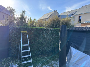 Photo de galerie - Taille de haie 