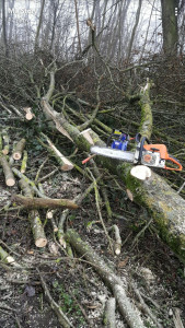 Photo de galerie - Débitage d'arbre tomber après tempête 