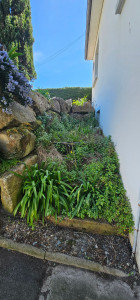 Photo de galerie - AVANT
desherbage massifs.