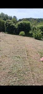 Photo de galerie - Tonte de pelouse - Débroussaillage