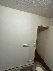 Photo de galerie - Peinture en cours chez un client aujourd’hui  Travail propre avec protection du sol.  Disponible pour peinture mur / plafond et rafraîchissement d’appartement/maison.   Contact en message privé.