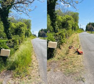 Photo de galerie - Débroussaillage complet d’un fossé chez un client