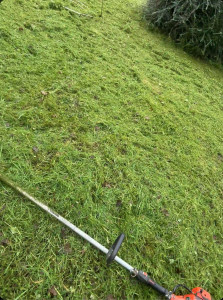 Photo de galerie - Débroussaillage première coupe de l’année 