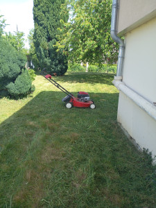 Photo de galerie - Tonte d'une pelouse 