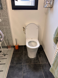 Photo de galerie - Pose wc 