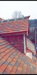 Photo de galerie - Couverture - Toiture