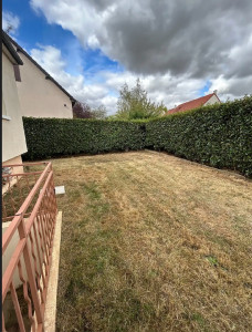 Photo de galerie - Taille de Photinias