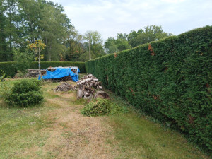 Photo de galerie - Taille haie 