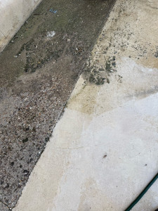 Photo de galerie - Nettoyages allée verte ,mousse ect 