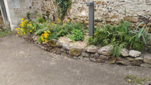 Photo de galerie - Plantation, maçonnerie paysagère (ardoise, pierre naturelle pose avec ou sans joints)
