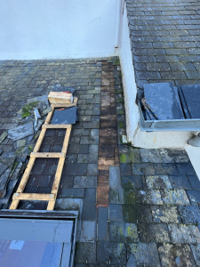 Photo de galerie - Couverture - Toiture