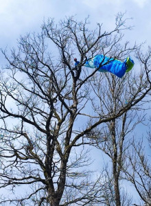 Photo de galerie - Travaux particuliers dans l'arbre, toutes hauteurs ? ici parapente malchanceux. nous posons également des cabanes à oiseaux, des plateformes, des éclairages, des banderoles, des systèmes audio, des décorations,...