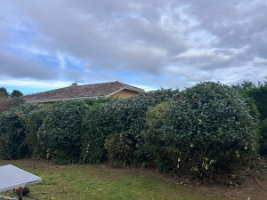 Photo de galerie - Après