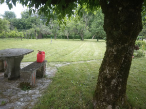 Photo de galerie - Tonte d'un parc sur la commune de Ribérac 
