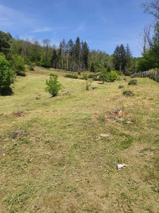 Photo de galerie - Débroussaillage sur grand terrain environ 4 hectares 